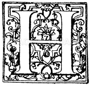 Lateinische Renaissanceschrift: Buchstabe H. Initial aus der Barockzeit. Französisch. (Hrachowina) Zeichnung/Illustration