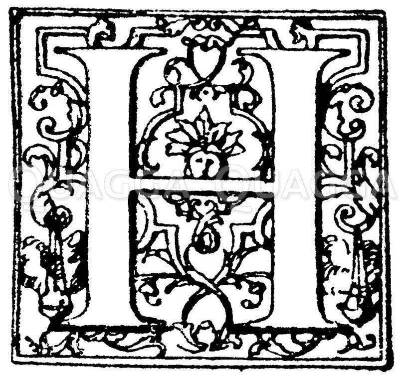 Lateinische Renaissanceschrift: Buchstabe H. Initial aus der Barockzeit. Französisch. (Hrachowina) Zeichnung/Illustration