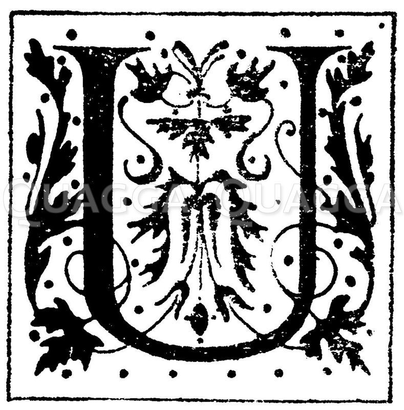 Lateinisches Initial: Buchstabe U. Initial aus einem Werk der Morel'schen Buchhandlung in Paris