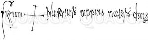 Unterschrift Pipins als Majordomus Zeichnung/Illustration