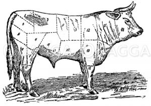Fleischeinteilung beim Rind