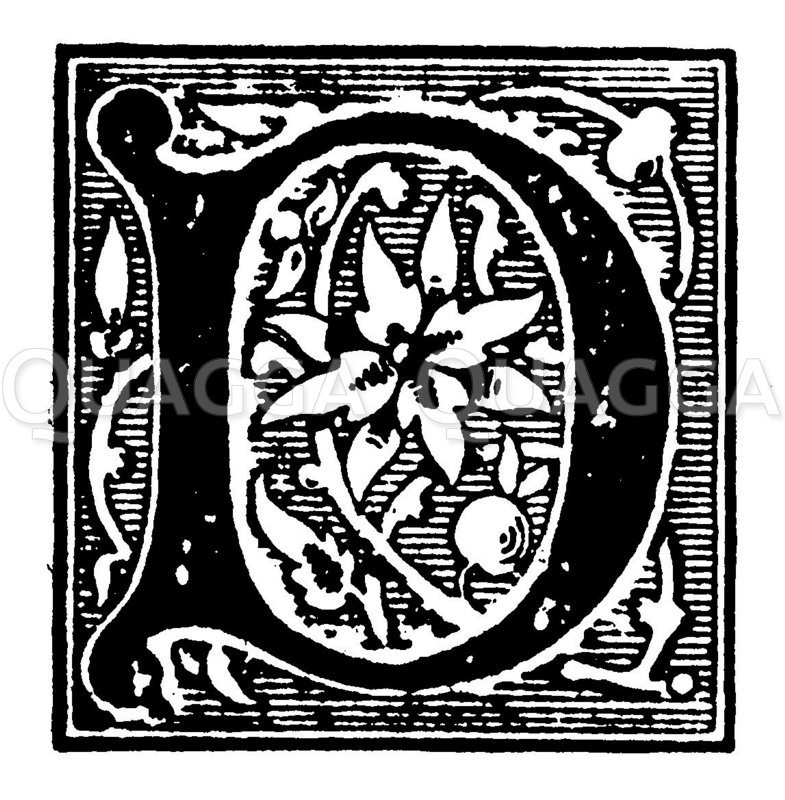 Initiale Buchstabe D Quagga Illustrations Initiale Buchstabe D Quagga Illustrations