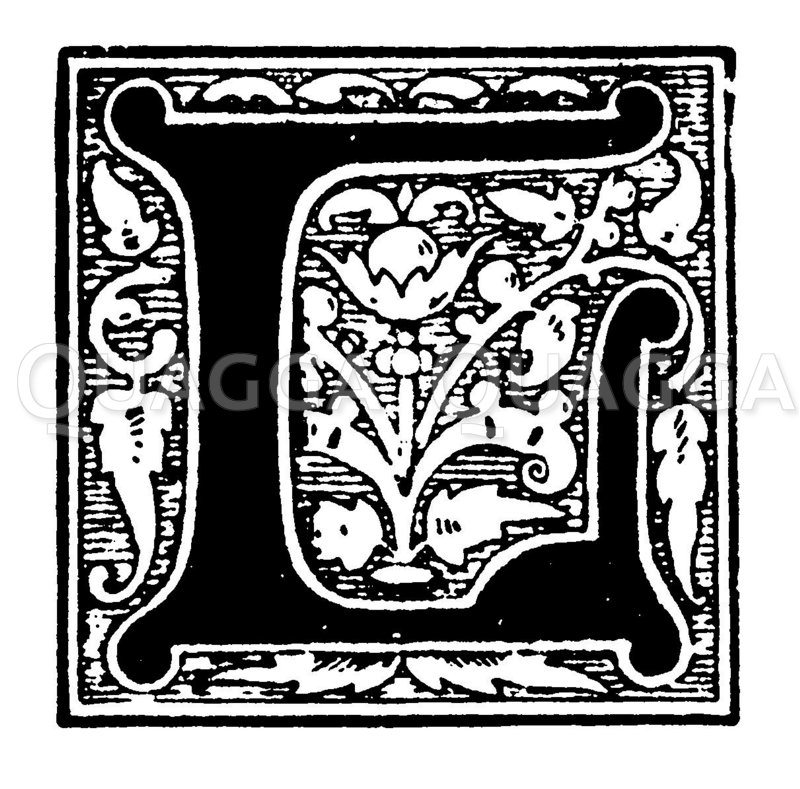 Initiale: Buchstabe Zeichnung/Illustration