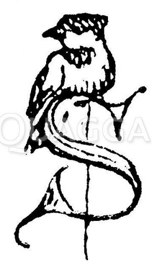 Buchstabe S mit Vögelchen Zeichnung/Illustration
