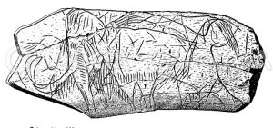 Mammut von La Madeleine Zeichnung/Illustration