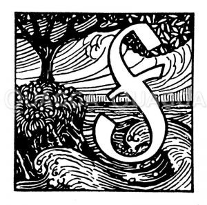 Buchstabe F Zeichnung/Illustration