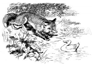 Fuchs und Ente Zeichnung/Illustration