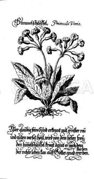Himmelsschlüssel