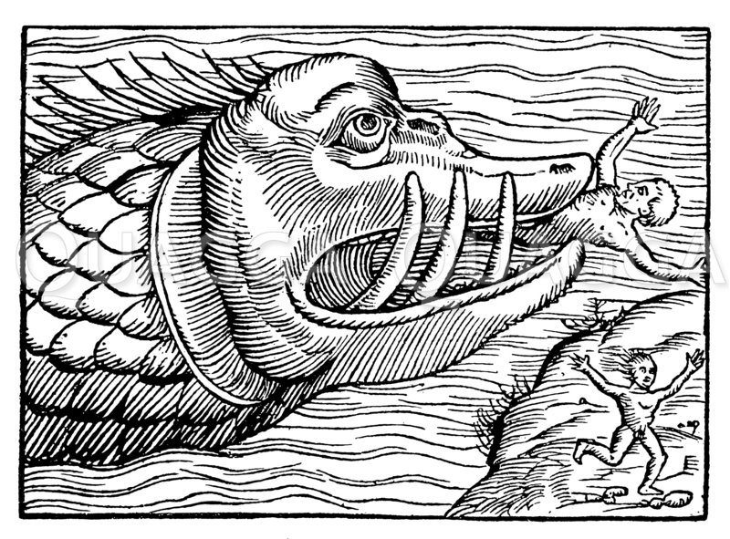 Meeresungeheuer Zeichnung/Illustration