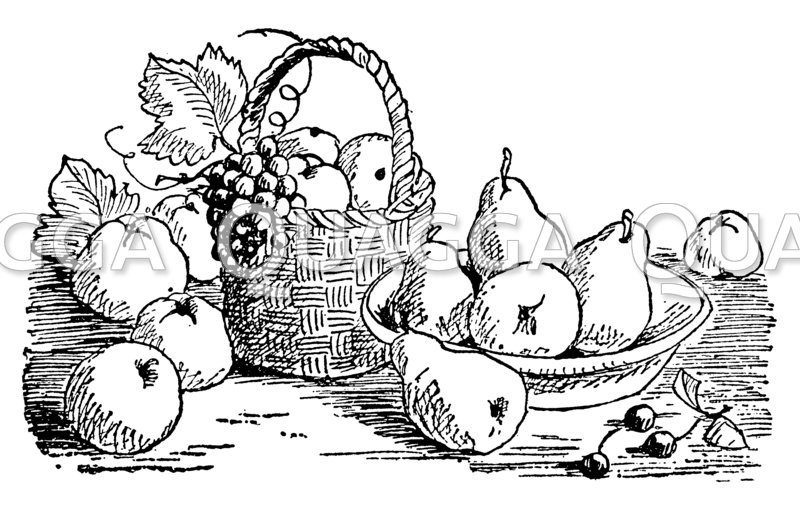 Obstschale und Obstkorb mit Birnen