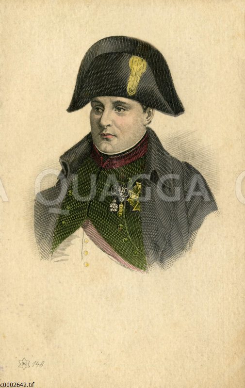Napoleon Bonaparte: Porträt