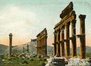 Palmyra