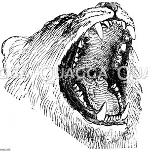 Löwenkopf mit geöffnetem Maul