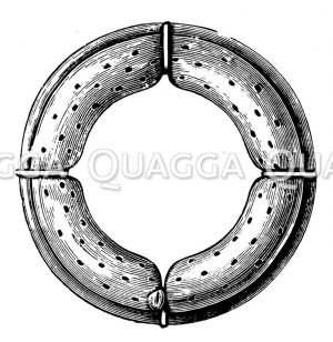 Sicherheits-Schutzring nach Dr. Cave