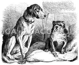 Jagdhund und Mops [Digital]