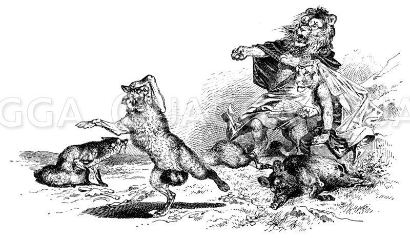 Fuchs flieht vor Löwen