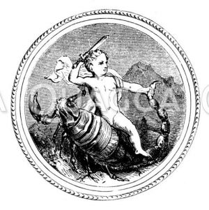 Sternzeichen