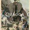 Hannibal überwindet die Alpen mit seinen Elefanten