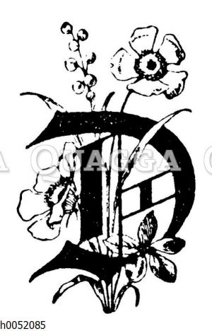 Buchstabe D