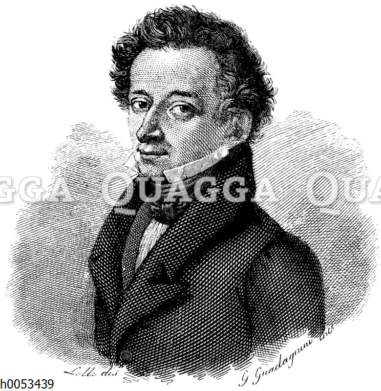 Leopardi Quagga Illustrations