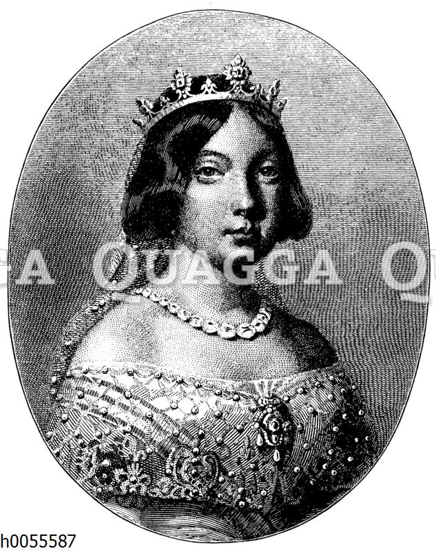Isabella II., Königin von Spanien Quagga Illustrations