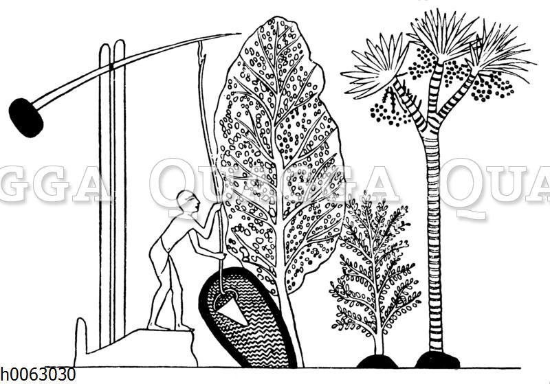 Bewässerung mit dem Schaduf - Quagga Illustrations