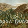 Opuntien auf dem Plateau von Anahuac (Mexiko)