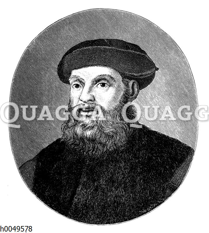 Fernao de Magelhaes Quagga Illustrations