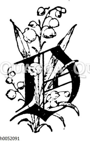 Buchstabe D
