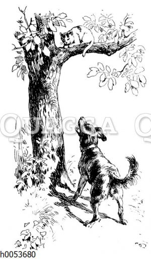 Katze auf einem Baum wird von Hund angebellt
