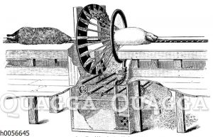 Amerikanische Borstenschabemaschine