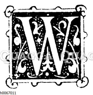 Buchstabe W Bildkategorie Quagga Illustrations Bilddatenbank