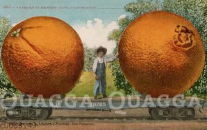 Junge und zwei überdimensionale Orangen auf einem Zugwagen