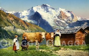 Kühe und Bauern vor Schweizer Bergpanorama