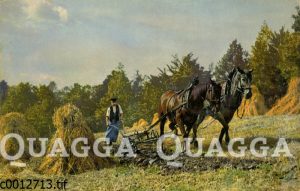 Bauer pflügt mit zwei Pferden