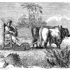 Dreschwagen