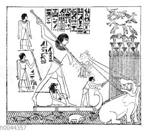 Jagd auf ein Nilpferd im alten Ägypten