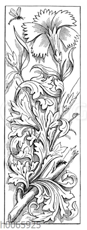 Nelkenornament [Digital]