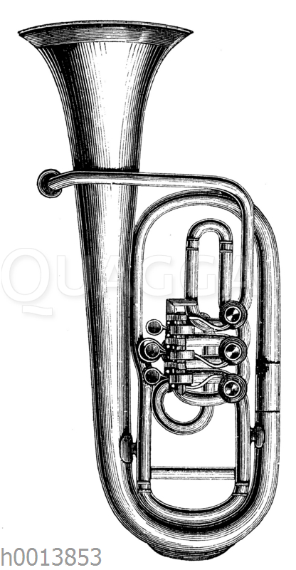 Althorn (Aufrechte Form) Quagga Illustrations