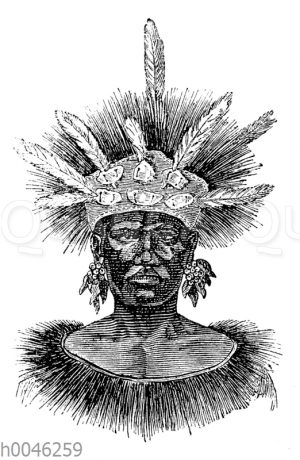Porträt eines Papua-Mannes von Mansinam