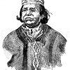Araukanischer Arzt