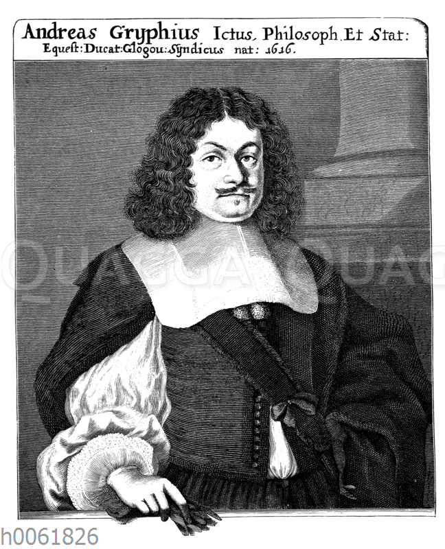 Andreas Gryphius Quagga Illustrations