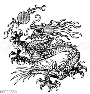 Drache: Ornament