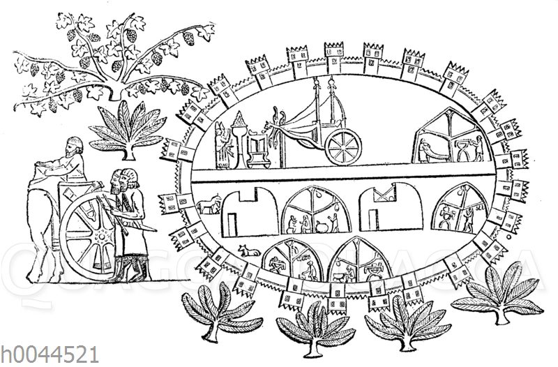 Plan von Lachis
