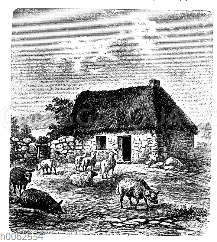 Irische Landwohnung