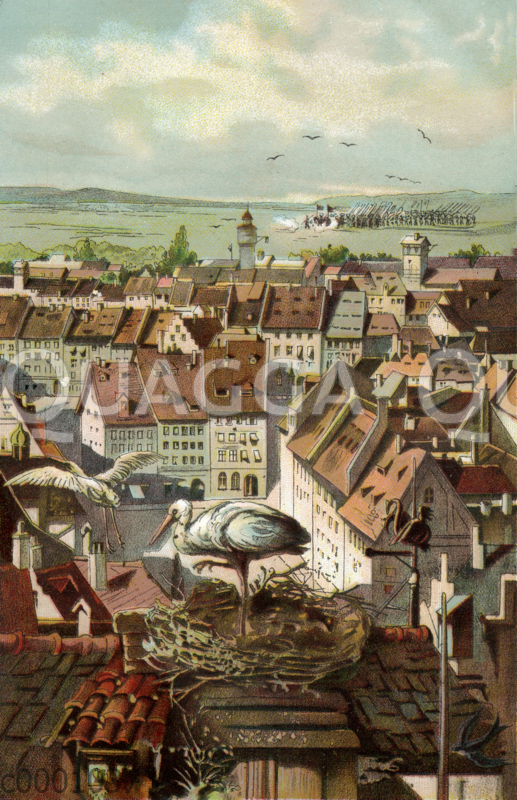 Storchennest mit Störchen auf einem Dach über der Stadt