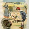 Junge im Matrosenanzug auf dem Bauernhof mit Truthahn und Haushahn