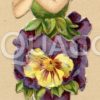 Glanzbild: Blumenmädchen in Stiefmütterchen