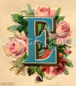 Glanzbild: Buchstabe E mit Rosen