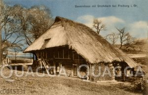 Bauernhaus mit Strohdach bei Freiburg i.Br.